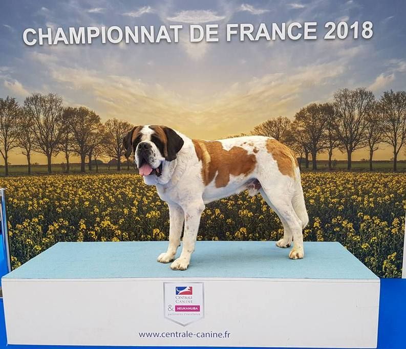 du domaine des Montagnards - LINDBERG  CHAMPIONNAT DE FRANCE LE BOURGET 2018