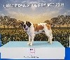  - LINDBERG  CHAMPIONNAT DE FRANCE LE BOURGET 2018
