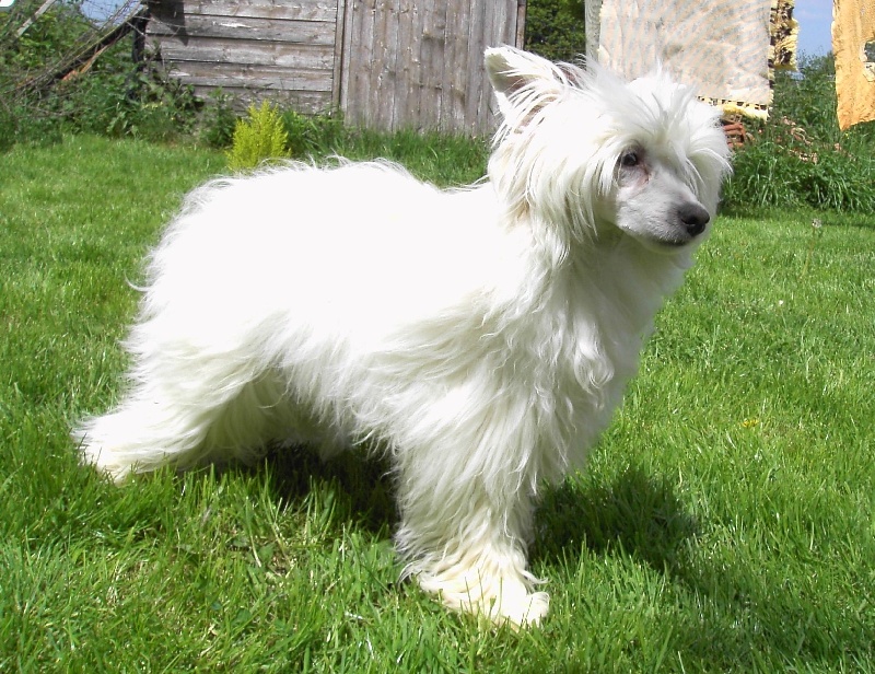 BB  VENITIA  2008