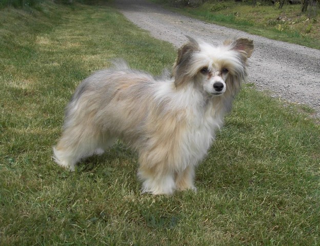 BB  VENITIA  2009